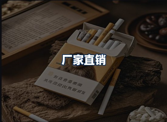 专业团队办公环境